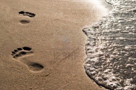 9979448-piede-pure-in-testa-sabbia-lungo-l-39-acqua