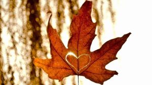 11824974_1175954769086413_8898730792911726060_n