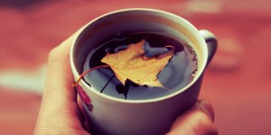 tisana-autunno